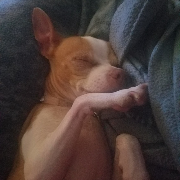 Meet your Posher, Stephani - Picture 2 of 3